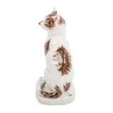 MEISSEN "Katze sich kratzend" 20.Jh. - photo 4