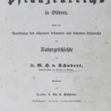 Schubert, H.H.v. u. C.F.Hochstetter. - фото 1