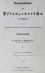 Schubert, H.H.v. u. C.F.Hochstetter.
