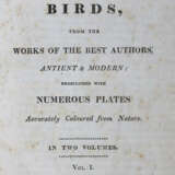 Natural History of Birds, The. - фото 1