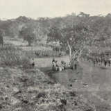 Livingstone, D. - фото 1