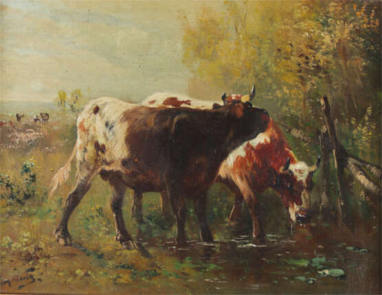 Kühe am Bachlauf. - Foto 1