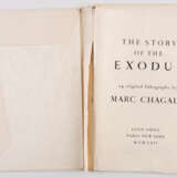 THE STORY OF THE EXODUS - Foto 17