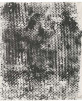 JACK WHITTEN (1939-2018)