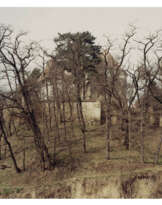 CLARE RICHARDSON (B. 1973)