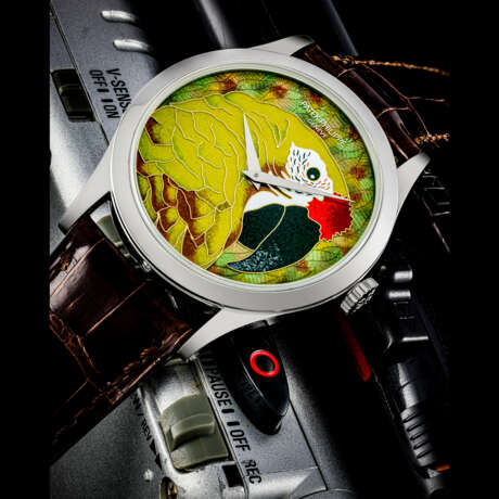 PATEK PHILIPPE. A SUPERB AND RARE PLATINUM LIMITED EDITION AUTOMATIC WRISTWATCH WITH CLOISONN&#201; ENAMEL DIAL FEATURING A GREEN MACAW - photo 1