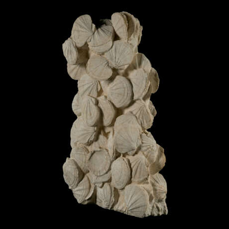 A LARGE BLOCK OF FOSSIL SCALLOPS - photo 6