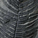 A VERY LARGE FOSSIL FERN FROND - photo 3