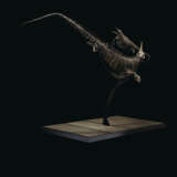 TWO ICHTHYOSAURS MOUNTED IN FIGHTING POSE - Foto 7