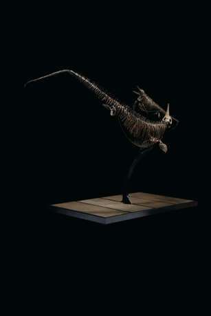 TWO ICHTHYOSAURS MOUNTED IN FIGHTING POSE - Foto 8