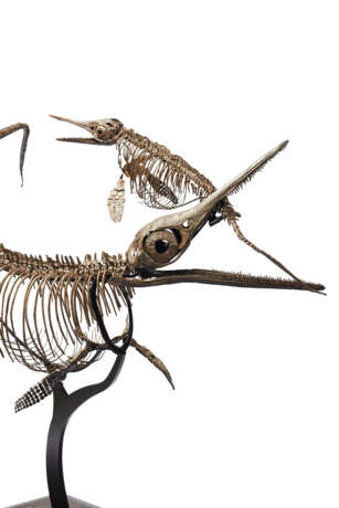 TWO ICHTHYOSAURS MOUNTED IN FIGHTING POSE - photo 10