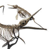 TWO ICHTHYOSAURS MOUNTED IN FIGHTING POSE - фото 10