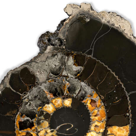 A SPLIT PYRITIZED AMMONITE - photo 8