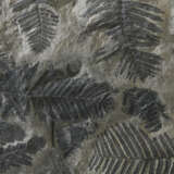 A FOSSIL FERN PLATE - фото 3