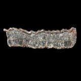 ONE OF THE EARLIEST FORMS OF LIFE -- A STROMATOLITE - photo 1