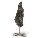 CAMPO DEL CIELO IRON METEORITE — SCULPTURE FROM OUTER SPACE - photo 4