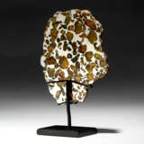 EXTRATERRESTRIAL GEMSTONES IN COMPLETE SLICE OF AN IMILAC PALLASITE - Foto 3