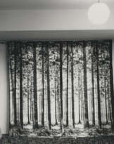 LYNNE COHEN (1944-2014)