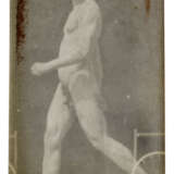 ÉTIENNE-JULES MAREY (1830-1904) - photo 8