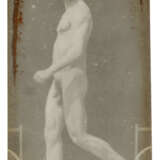 ÉTIENNE-JULES MAREY (1830-1904) - photo 10