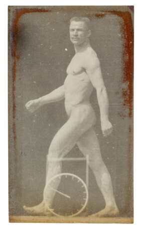 ÉTIENNE-JULES MAREY (1830-1904) - photo 18