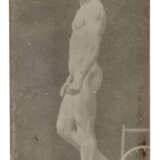 ÉTIENNE-JULES MAREY (1830-1904) - photo 28
