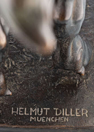 Diller, Helmut - Foto 13
