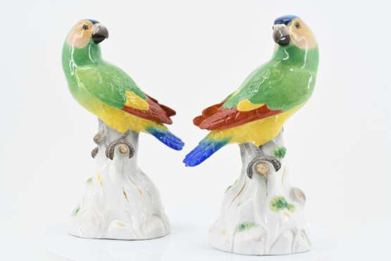 Pair of parrots on tree trunk - фото 1