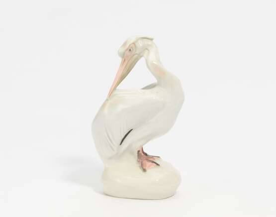 Pelican - Foto 1