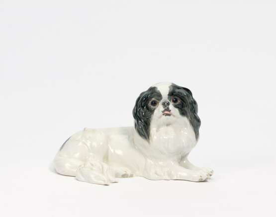 Japanese Chin - photo 1