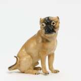 Pug - photo 1