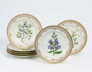 Seven plates "Flora Danica"