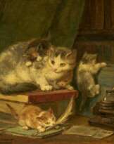 Henriette Ronner-Knip