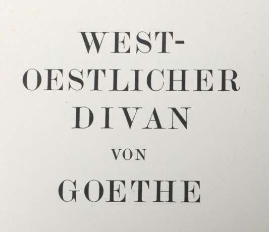 Goethe - photo 3