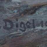 Digel - фото 3