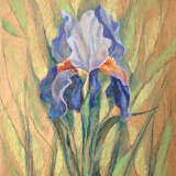 blue iris Бумага пастель Pastell auf Papier Realismus цветок Kasachstan 2022 - Foto 1