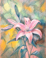 Delicate lilies Delicate lilies