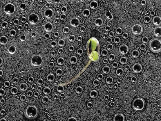 Receiving rain. Принимающий дождь. Фотография на пластике Фотографика Абстракционизм абстракцмонизм Россия 2017 г. - фото 1