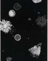 JITISH KALLAT (B. 1974)