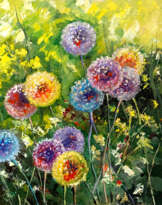 Bright fantastic dandelions Bright fantastic dandelions