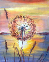 Miniature dandelion at sunset Miniature dandelion at sunset