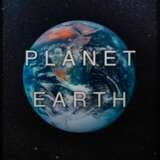 Massimo Agostinelli (London 1987). Planet Earth. - фото 4