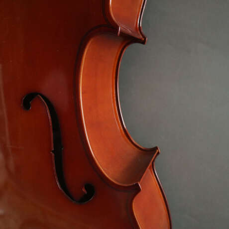 Cello - фото 6