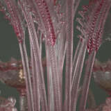 Großer luxuriöser Deckenleuchter aus Muranoglas - фото 10