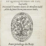 MAGNY, Olivier de (1529-1561) - photo 1