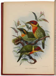 A Monograph of the Capitonidae, or Scansorial Barbets