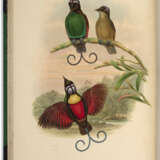The Birds of New Guinea - фото 2