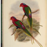 The Birds of New Guinea - фото 6