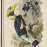 A Monograph of the Bucerotidae, or Family of the Hornbills - photo 3
