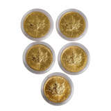 Kanada - 5 x 50 Dollars, Elizabeth II / Ahornblatt, GOLD, - фото 1